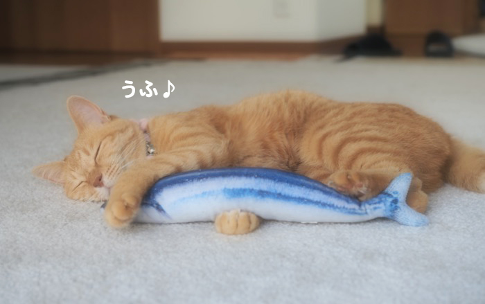 15日ブログ１