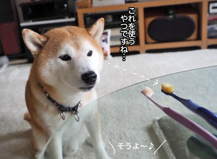 2日夜ブログ３