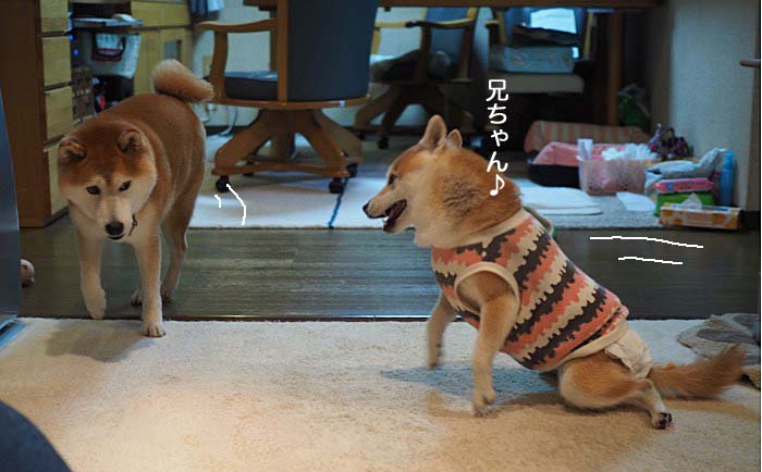 6日夜ブログ２