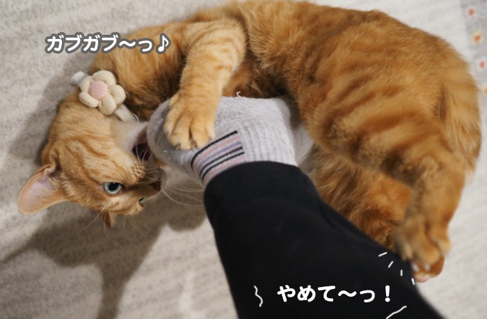 3日夕ブログ９