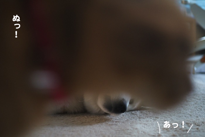 23日夕ブログ７