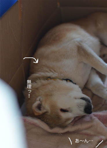 27日ブログ7.jpg