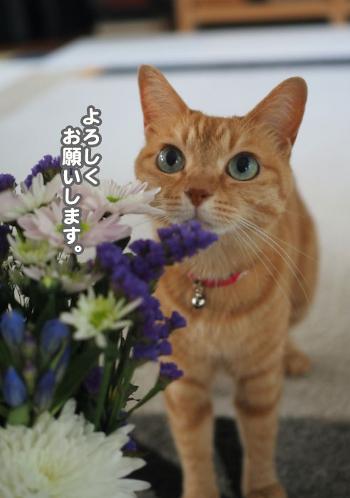 23日夕ブログ１０
