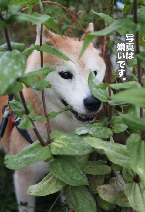 10日夕ブログ３