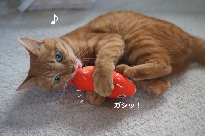 24日夕ブログ３
