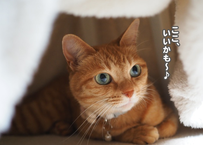 28日夕ブログ９