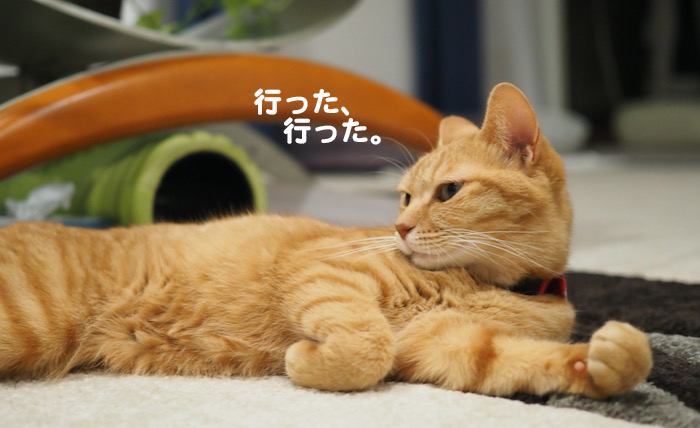 12日夕ブログ８