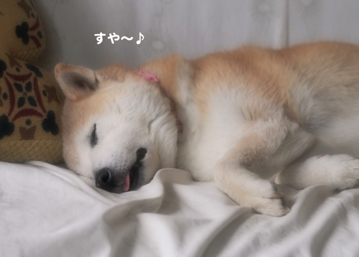 8日夕ブログ３jpg