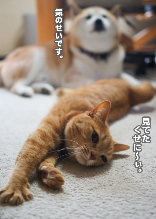 30日夕ブログ８