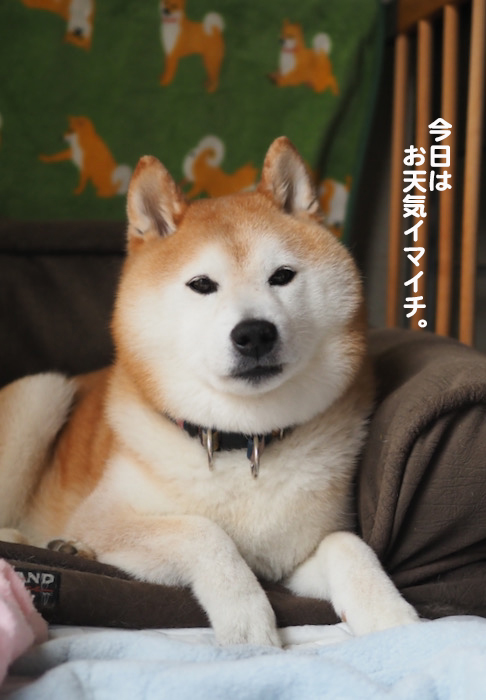 21日夕ブログ２