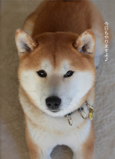 22日ブログ10.jpg