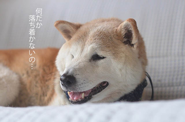 24日ブログ2