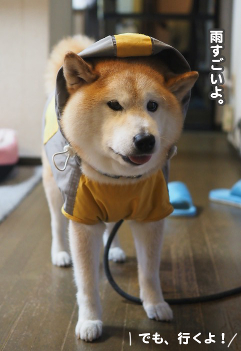 2日夕ブログ４