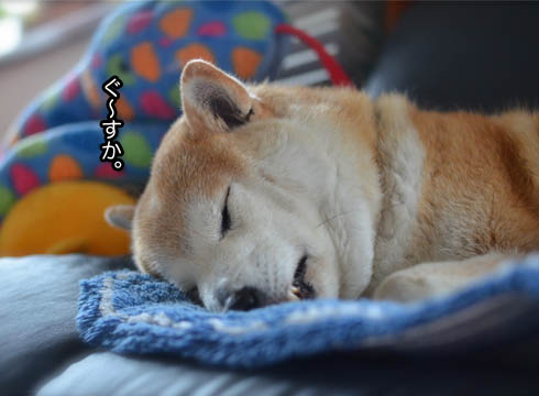 29日ブログ13.jpg
