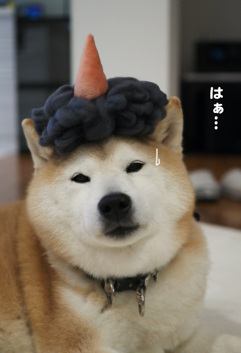 2日ブログ３