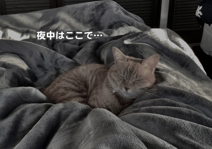19日夕ブログ２