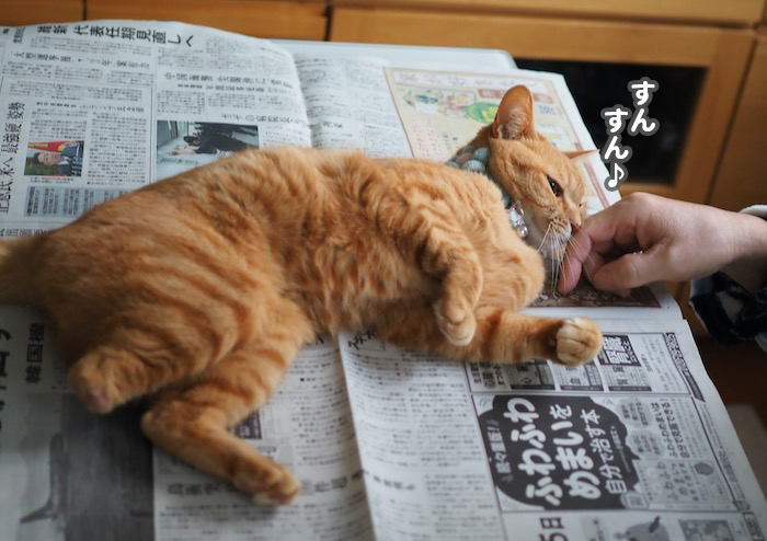 31日ブログ３