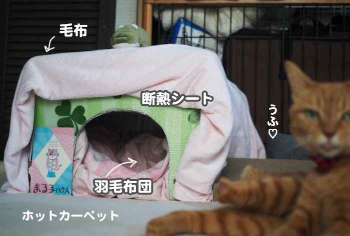 4日夕ブログ９