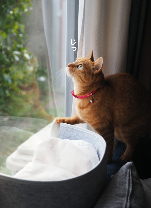 4日夕ブログ４