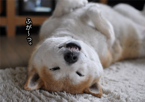 2日ブログ３.jpg