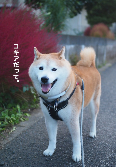 20日ブログ３