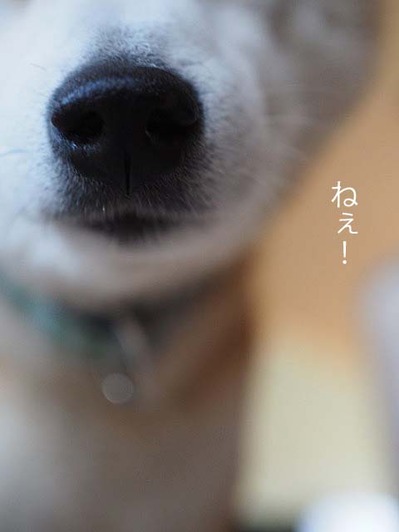 31日ブログ９