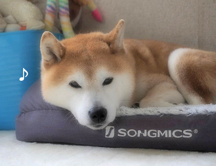 2日夜ブログ２