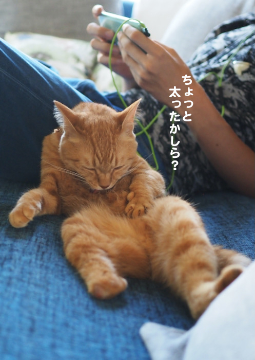 22日夕ブログ２