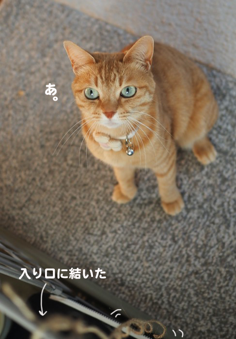 4日夕ブログ２