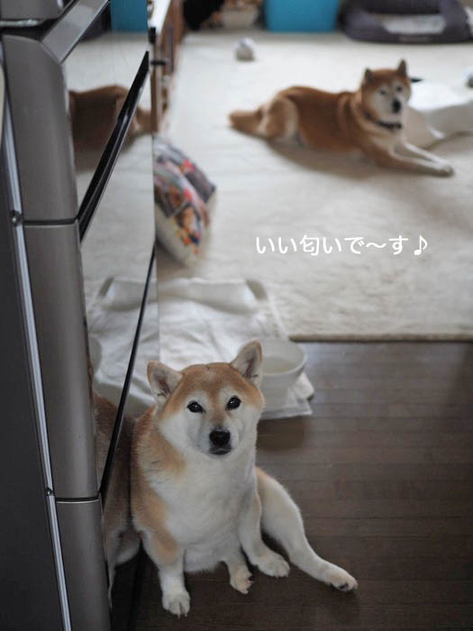2日夜ブログ３