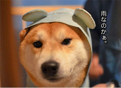 27日ブログ3.jpg
