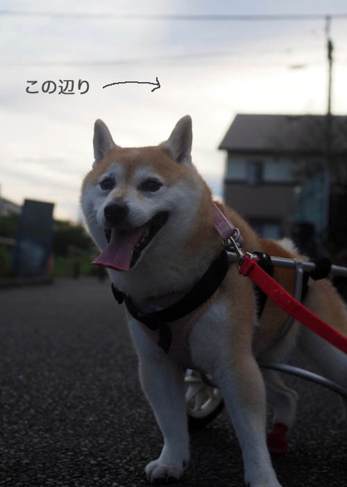 23日ブログ４