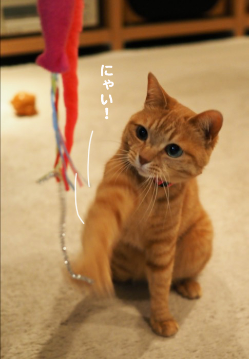 7日ブログ４