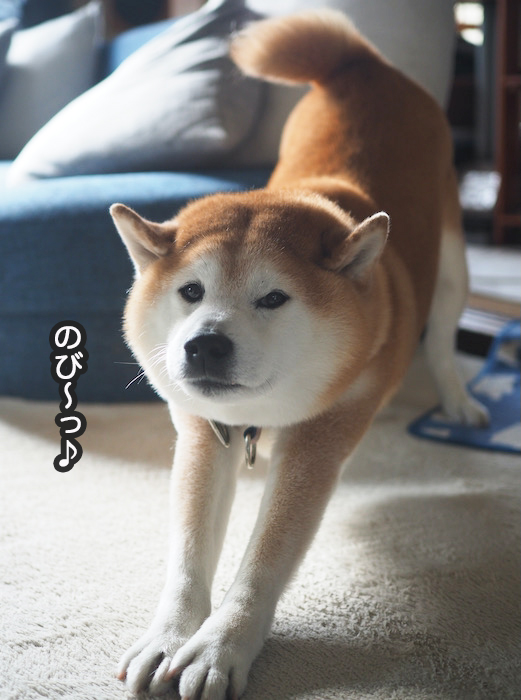 20日夜ブログ３