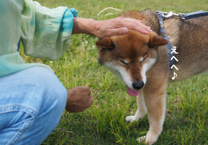 12日夕ブログ４