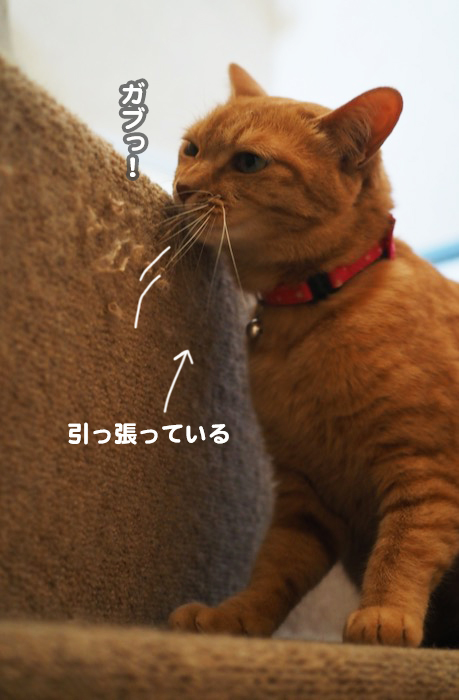 2日夜ブログ８