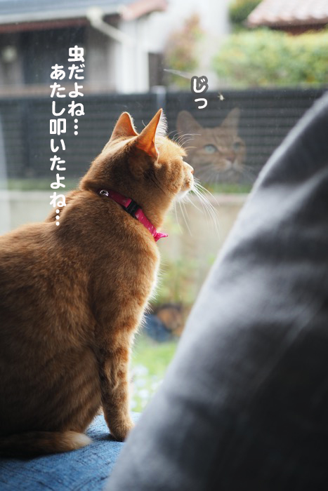 2日夕ブログ８