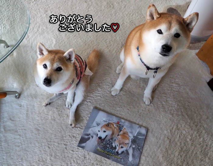 30日夜ブログ７