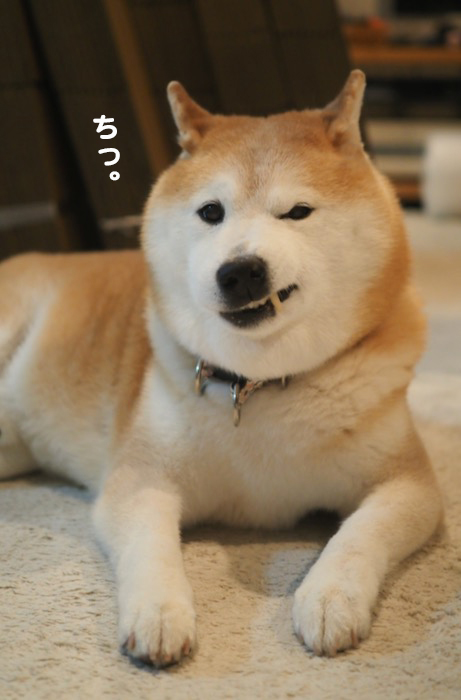 9日夕ブログ５
