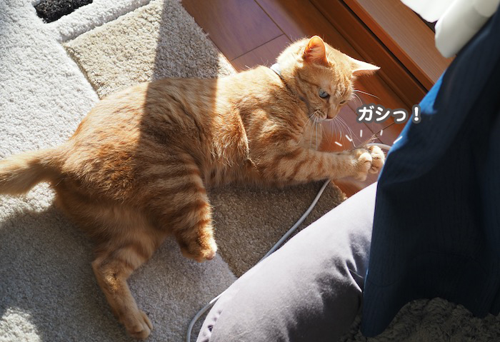 2日夕ブログ４