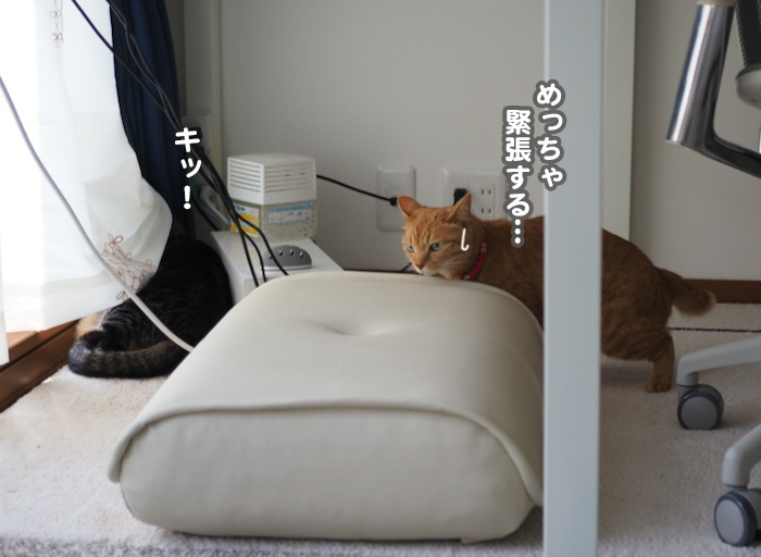17日夕ブログ３