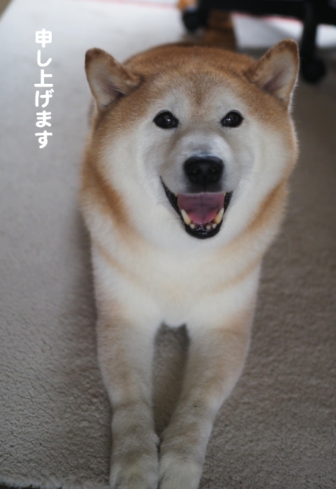 8日ブログ３