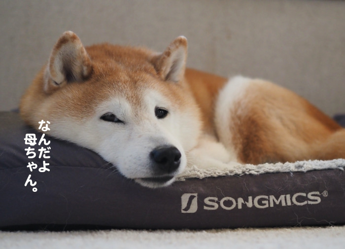 8日ブログ1