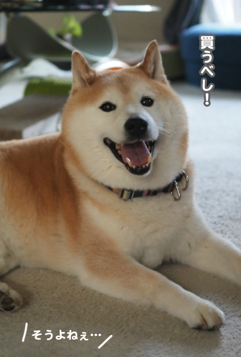 31日ブログ５