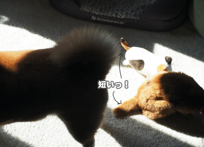 13日ブログ１