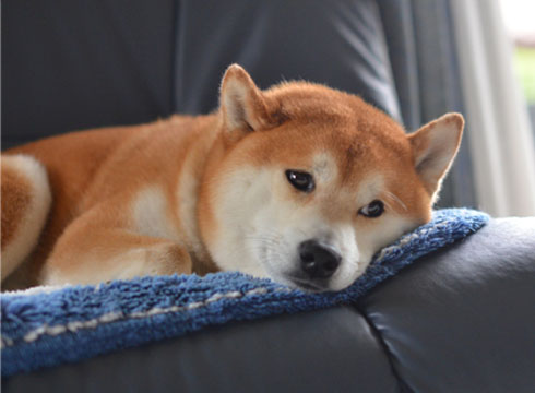 27日ブログ9.jpg