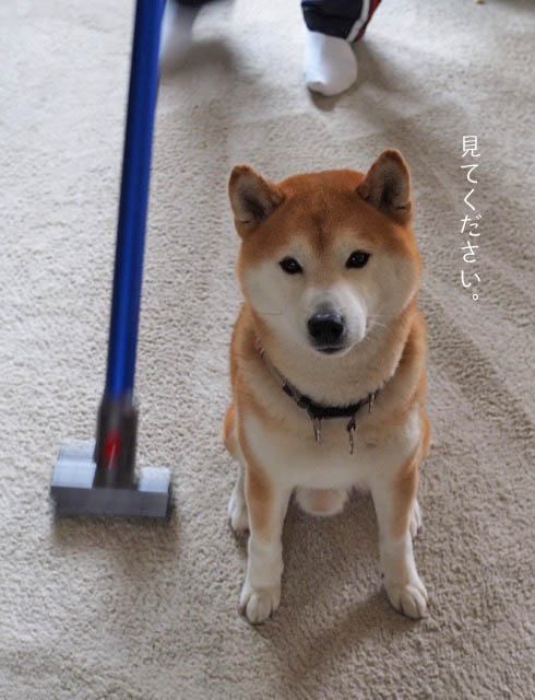 8日ブログ５