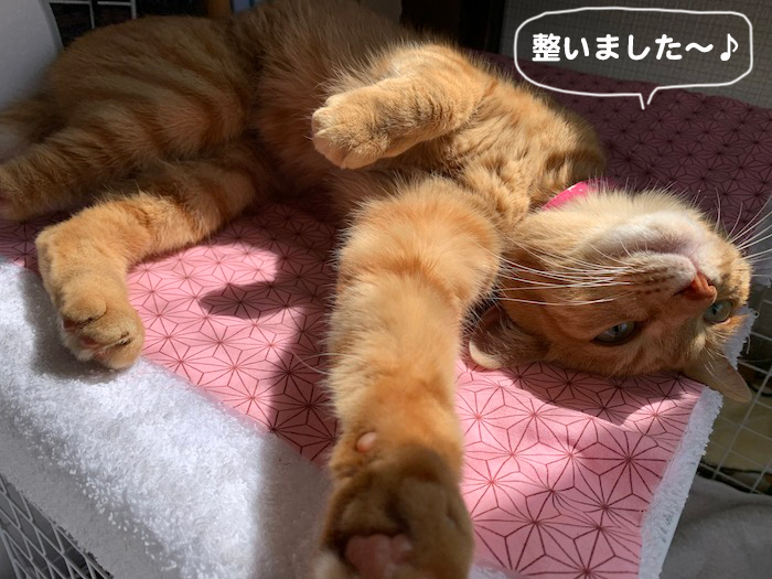 20日夕ブログ７