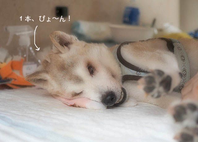 2日ブログ2