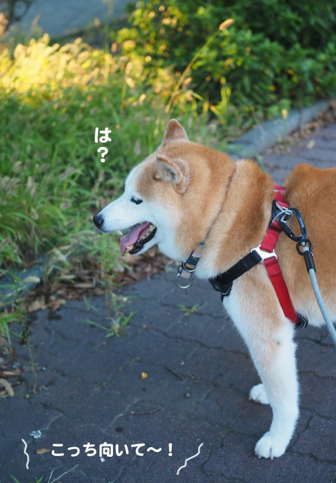 19日ブログ２